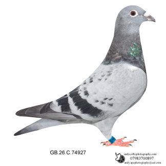 Louella Jacob Poortvliet Light Cheq Hen 26-927 Ref 8394
